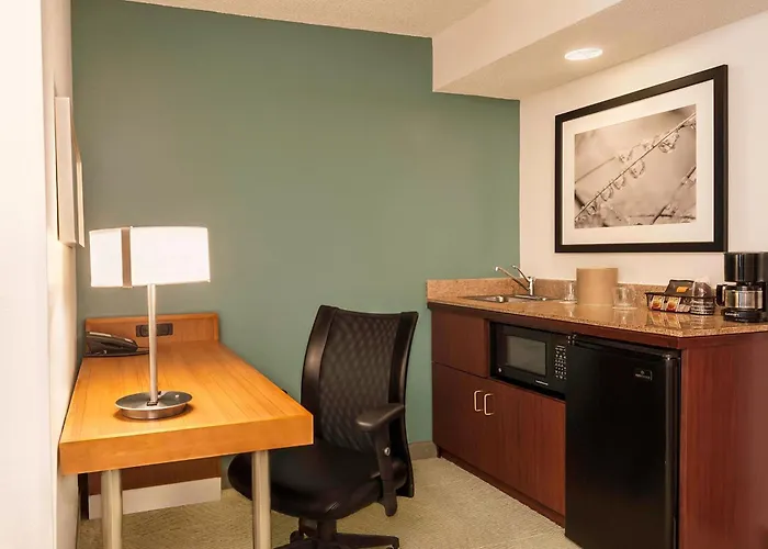 Springhill Suites By Marriott Baton Rouge South